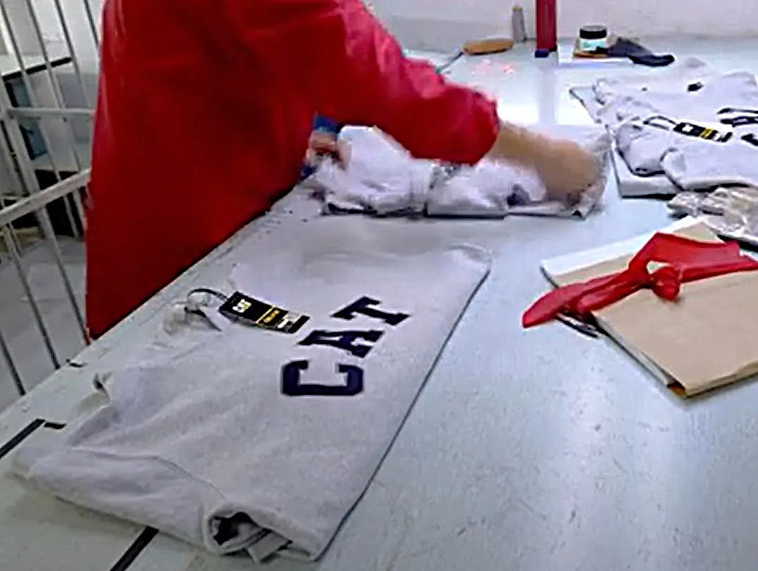 Adult Apparel Inspection