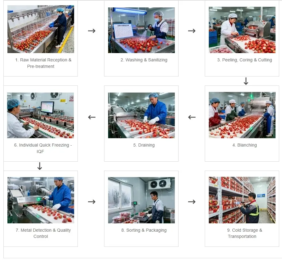 Frozen Fruit Production Process