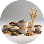 Grains and Legumes Inspection Service