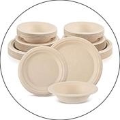 Disposable Plates Inspection Services