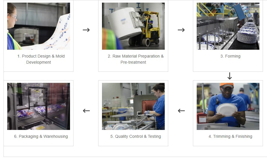 Disposable Tableware Production Process