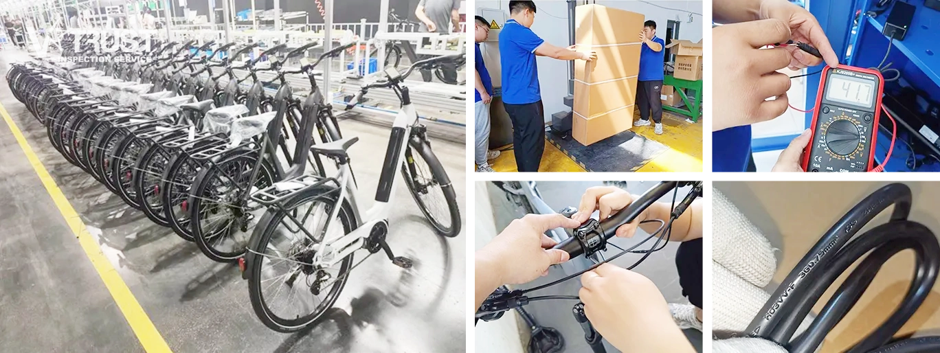 E-Bike Inspection Services