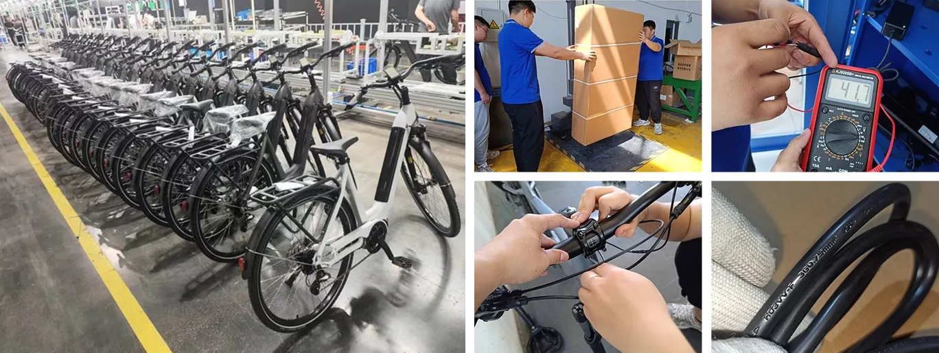 E-Bike Inspection Services