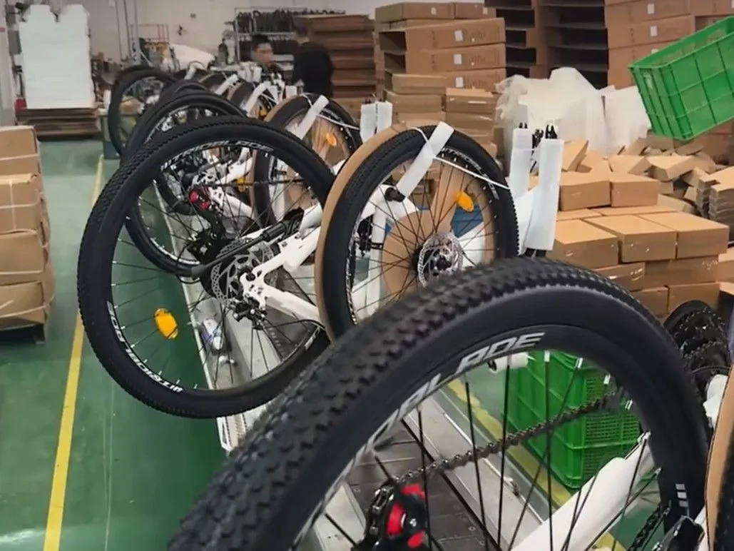 Electric Bike Disassembly