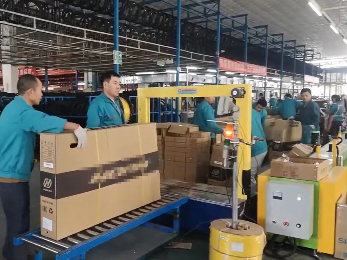 Electric Bike Packaging