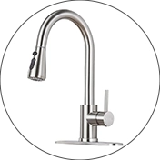 Kitchen Faucets Inspection