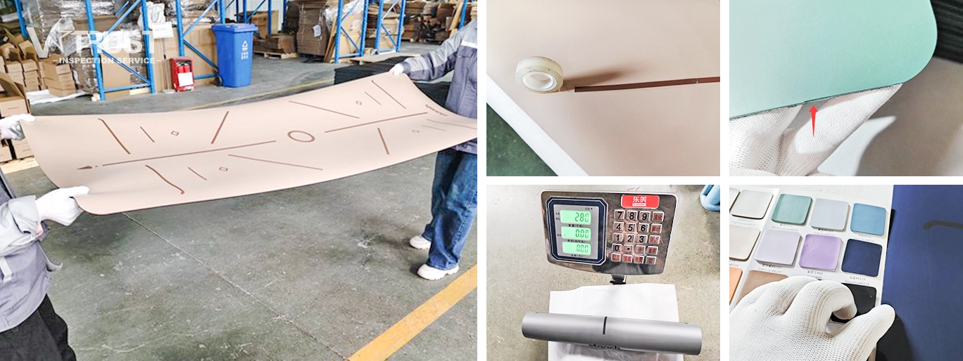 Fitness and Bodybuilding Products Quality Inspection Service