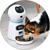 Pet Feeding Inspection