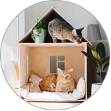 Pet Housing Inspection