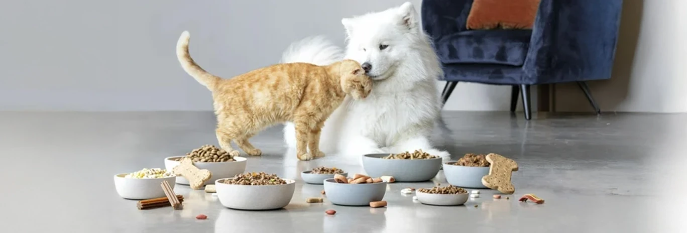 Pet Products Inspection & Quality Control in Asia