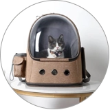 Pet Travel Inspection