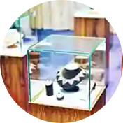 Costume Jewelry QC Services