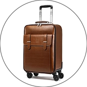 Leather Luggage Inspection