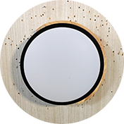 Ceiling Lights QC Services