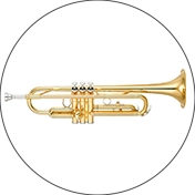 Trumpets Inspection