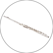 Wind Instruments Inspection