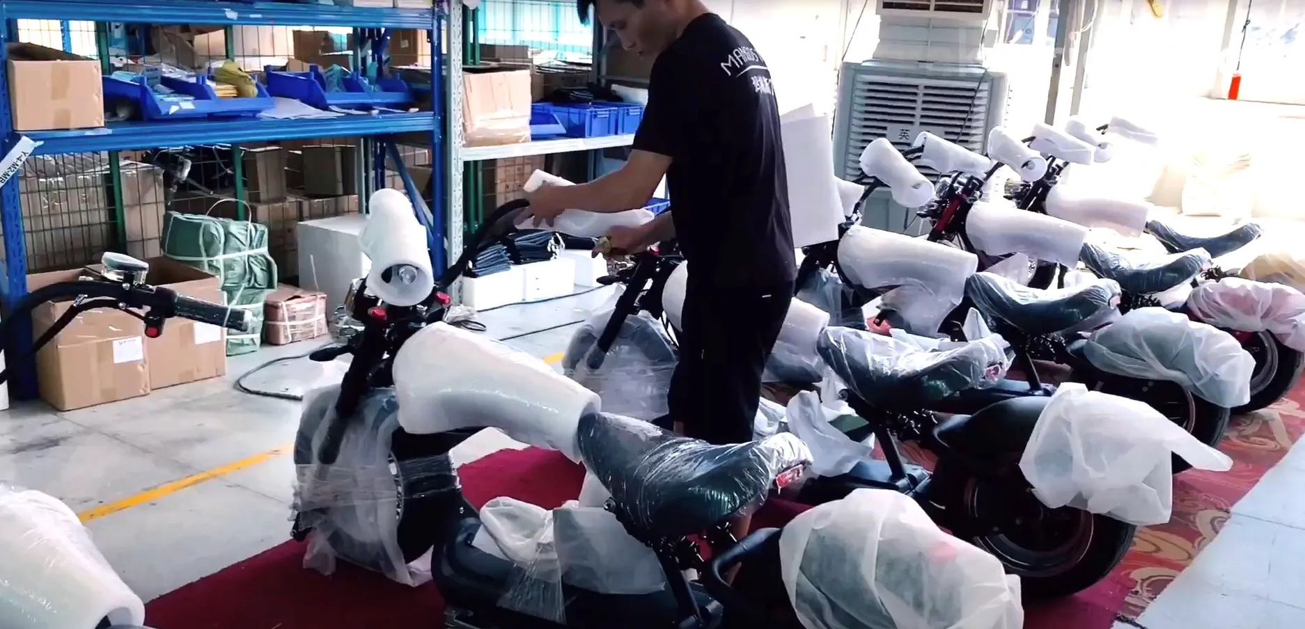 Scooters Appearance Inspection Cleaning