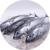 Fresh & Chilled Seafood Inspection