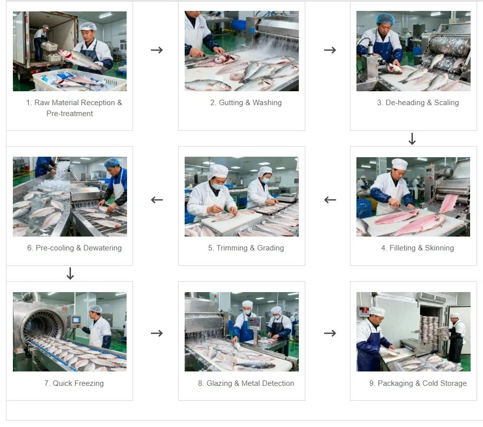 Frozen Fish Fillets Production Process