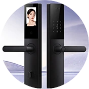 Face Recognition Smart Locks Inspection