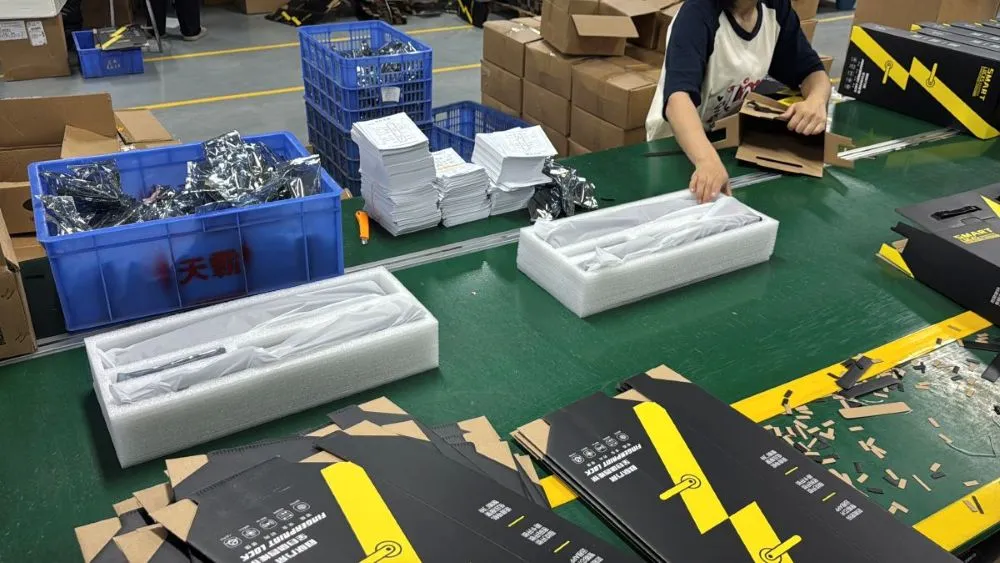 Smart Door Lock Packaging and Storage