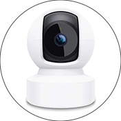 Indoor Cameras Inspection