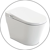 Tankless Smart Toilets Quality Inspection