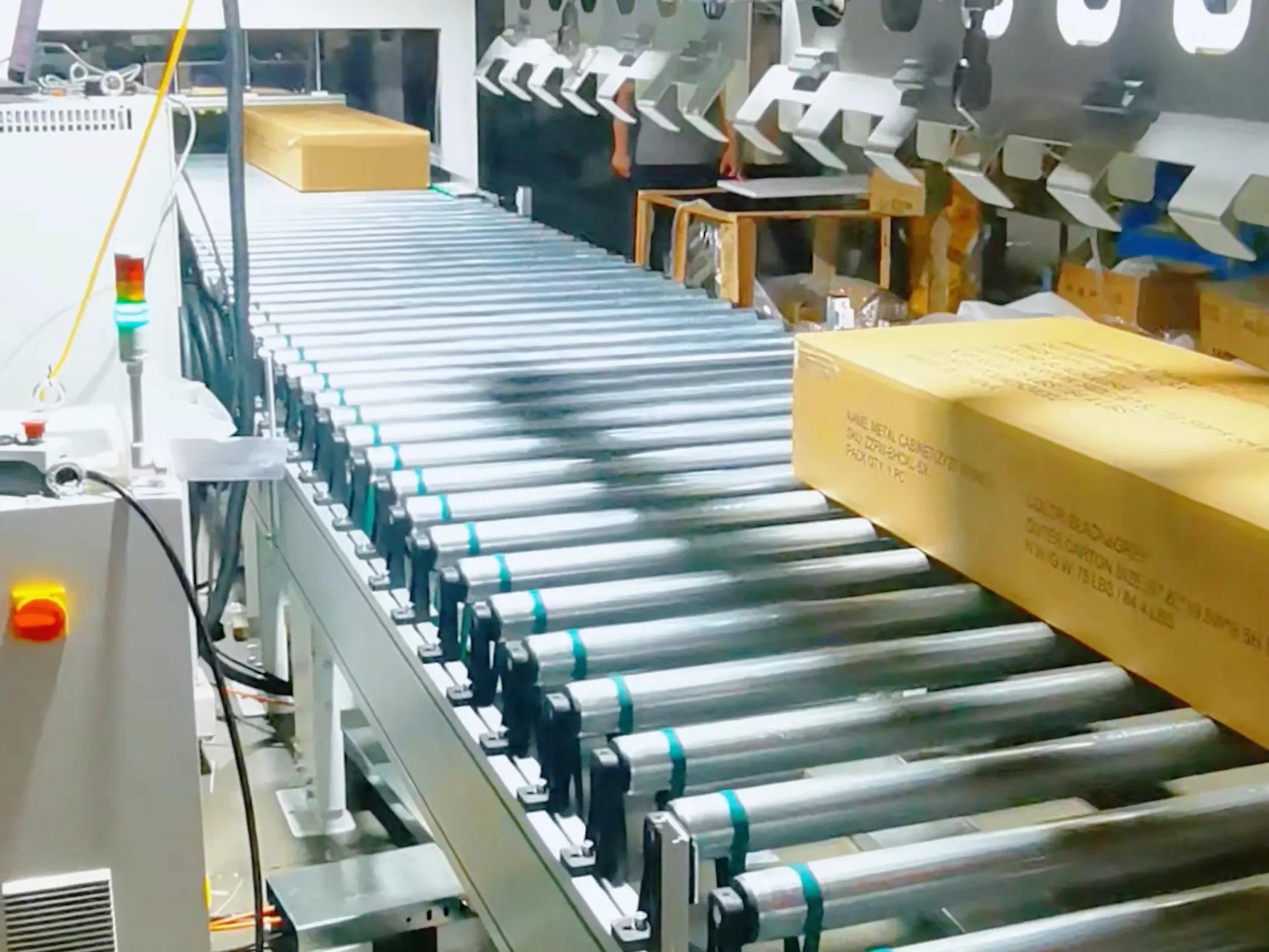 Wireless Earbuds Appearance Inspection & Packaging