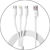 Multi-Port Charging Cables Inspection Services