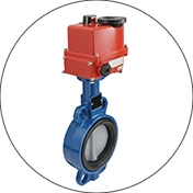 Electric Valves Quality Inspection