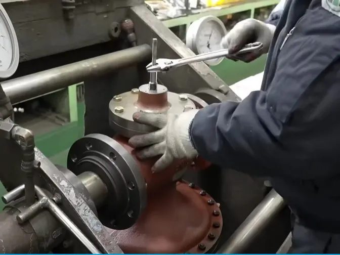 Valve Products Assembly