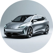 Electric Passenger Vehicles Pre-Shipment Inspection